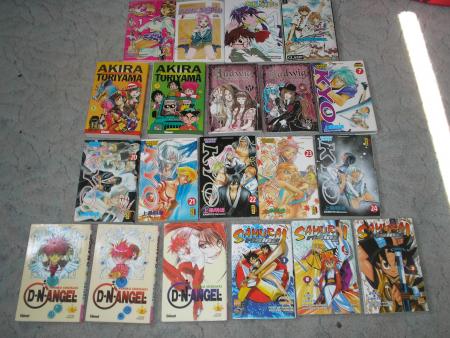 Mangas Divers